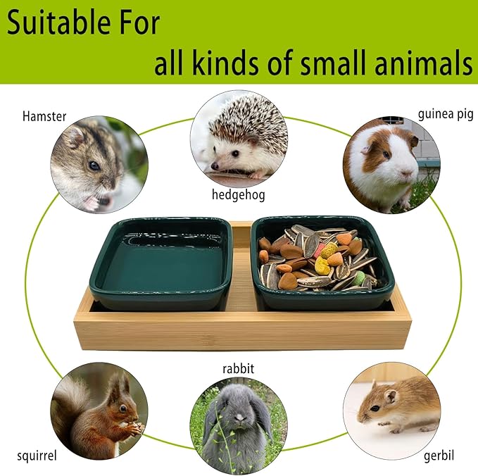 Hamster Food Bowl, Hamster Feeding & Water Bowls, Small Animals Ceramic Food Water Bowl Prevent Tipping for Dwarf Syrian Hamsters Bunny Gerbils Rats or Other Similar-Sized Small Pets (Green)