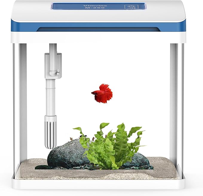Betta Fish Tank 5 Gallon Glass Aquarium Starter Kit, Small Fish Tank with Filter and Light.
