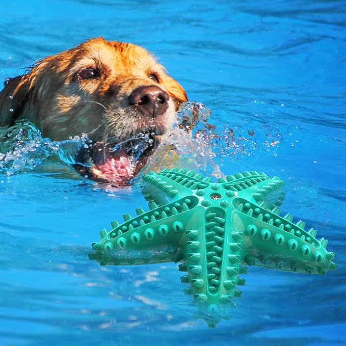 LiuMelinda Dog Chew Toys for Aggressive-Chewers - Indestructible Dog Toy for Aggressive Chewer，Tough Chew Toys for Dogs （Rubber Blue-Starfish）