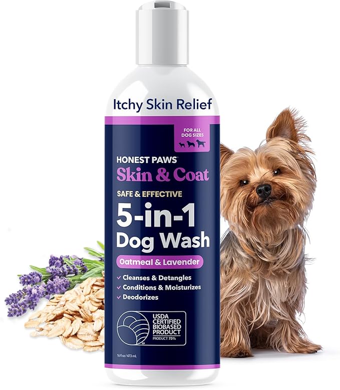 Honest Paws Dog Shampoo and Conditioner - Premium Dog Wash for Allergies and Dry, Itchy, Moisturizing for Sensitive Skin - Sulfate Free, Plant Based, All Natural - Oatmeal & Lavender - 16 Fl Oz