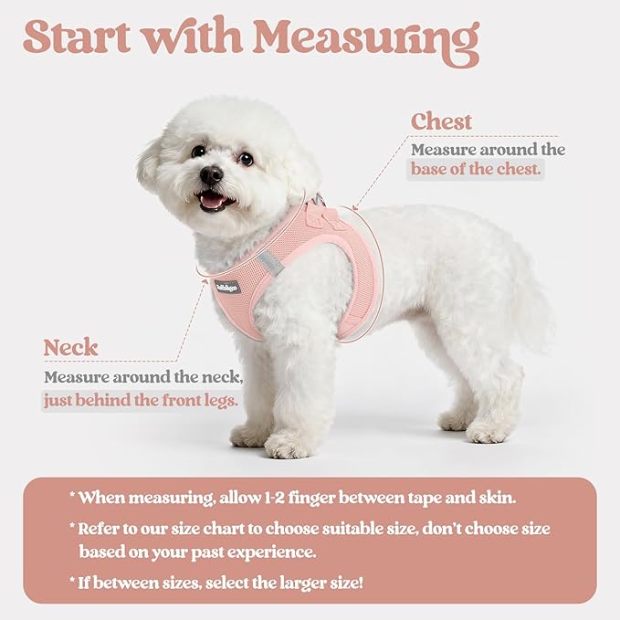 rabbitgoo Dog Harness Small Sized and Leash Set, Step in Soft Light Puppy Vest, Breathable Mesh Pet Harness, Reflective for Outdoor Safe Walking, Pink XXXS
