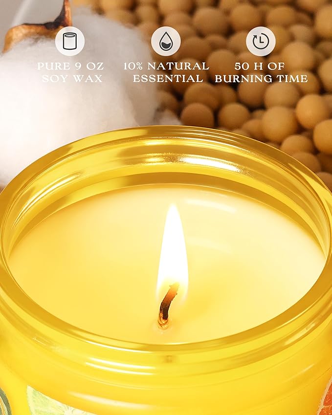 AOOVOO Pet Odor Eliminator Candle - Citrus Lemon Odor Eliminating Candle, Highly Fragranced Air Freshing Scented Candles, 9 oz Natural Soy Wax