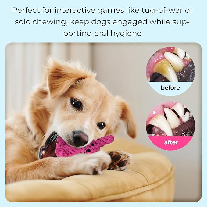 Dog Rope Chew Toys for Aggressive Chewers - 5 Pack Interactive Tug of War Rope for Teeth Cleaning, Puppy Ropes Safe Material for Small Medium Large Dogs Pets