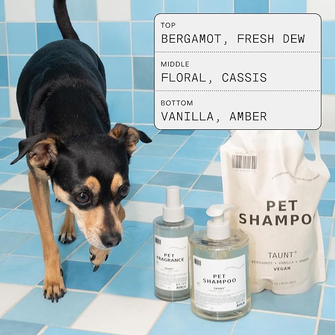 DedCool Pet Fragrance 01 Taunt | Luxury Pet Perfume & Grooming Spray for Dogs, Cats & Puppies | Long Lasting Pet Deodorizer & Indoor Odor Eliminator | Clean, Non-Toxic, Vegan, Eco-Friendly | 8.5 fl oz