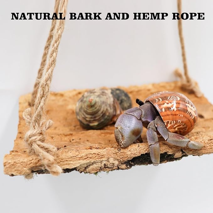 Hermit Crab Climbing Toy, Natural Wooden Reptile Swing Toy, Pet Cage Tank Aquarium Accessories for Hermit Crab Lizard Chameleon Hamster Guinea Pig Chinchilla Bird Parrot