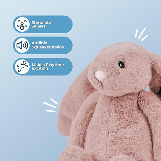 Best Pet Supplies Interactive Squeaky Dog Chew Toy, Ideal Dog Toys for Chewers, Small, Medium & Large Dogs, and Fetch Lovers - Bunny (Mauve), Medium