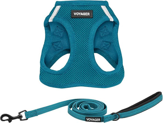 Voyager Step-in Air All Weather Mesh Harness and Reflective Dog 5 ft Leash Combo with Neoprene Handle, for Small, Medium and Large Breed Puppies by Best Pet Supplies - Set (Turquoise), M
