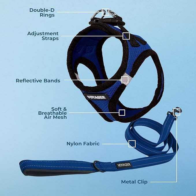 Voyager Step-in Air All Weather Mesh Harness and Reflective Dog 5 ft Leash Combo with Neoprene Handle, for Small, Medium and Large Breed Puppies by Best Pet Supplies - Royal Blue/Black Trim, Small