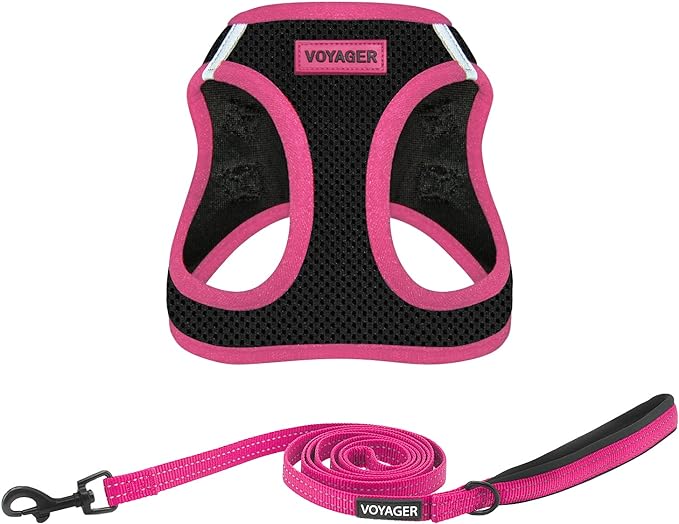 Voyager Step-in Air All Weather Mesh Harness and Reflective Dog 5 ft Leash Combo with Neoprene Handle, for Small, Medium and Large Breed Puppies by Best Pet Supplies - Black/Pink Trim, Large