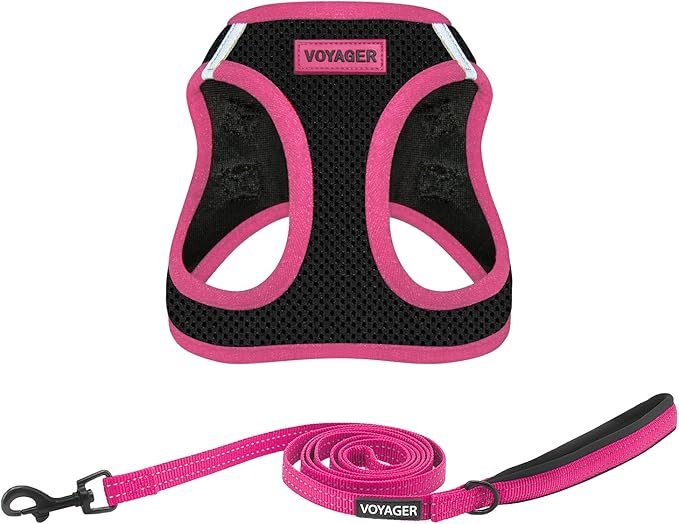 Voyager Step-in Air All Weather Mesh Harness and Reflective Dog 5 ft Leash Combo with Neoprene Handle, for Small, Medium and Large Breed Puppies by Best Pet Supplies - Black/Pink Trim, X-Large