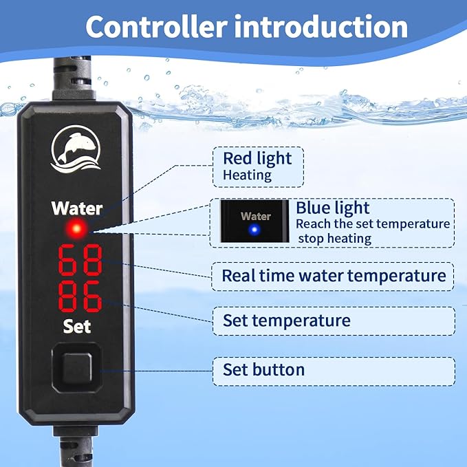 Small Aquarium Heater 100W,Fish Tank Heater for 10-20 Gallon,Suitable for Freshwater and Marine Saltwater,Dual Digital Display Controller, Mini Water Heater,for Betta/Turtle Tank