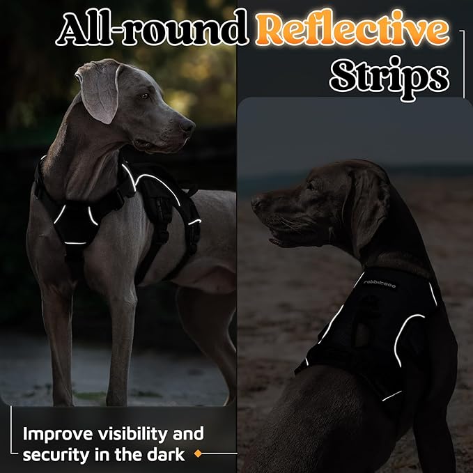 rabbitgoo Escape Proof Dog Harness, Soft Padded Full Body Pet Harness, Reflective Adjustable No Pull Vest with Lift Handle and Leash Clip for Large Dogs Walking Hiking Training, M, Black