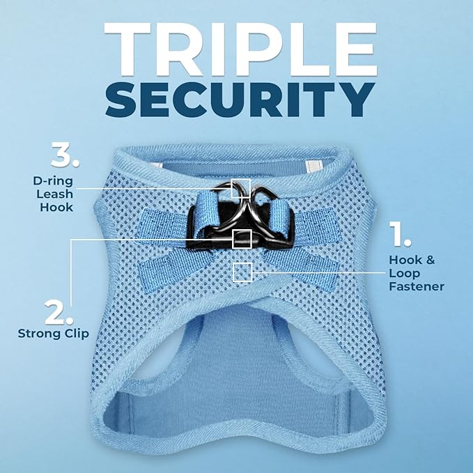 Voyager Step-in Air All Weather Mesh Harness and Reflective Dog 5 ft Leash Combo with Neoprene Handle, for Small, Medium and Large Breed Puppies by Best Pet Supplies - Set (Baby Blue), L