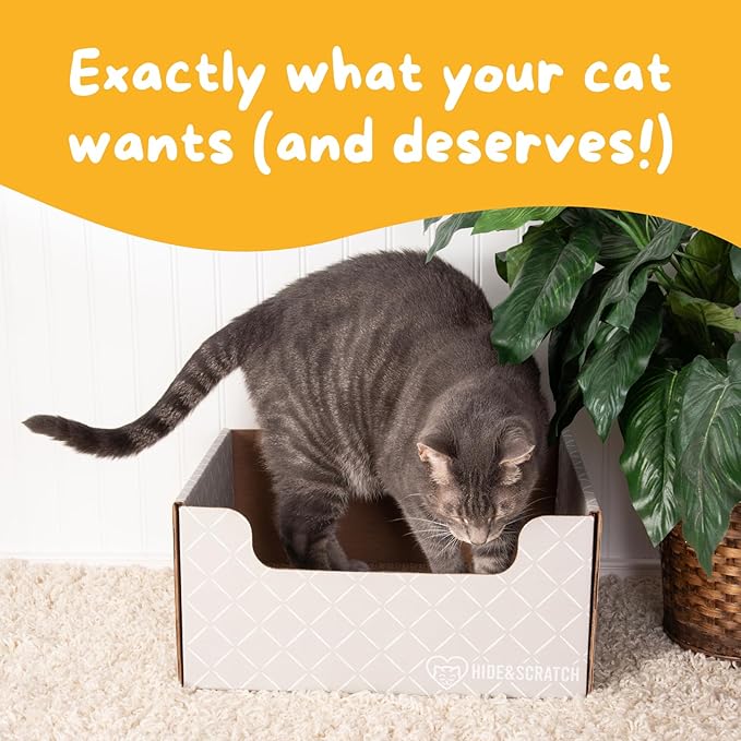 HIDE & SCRATCH Cardboard Cat Scratcher; Cat Scratcher Box and Bed with Refillable Double-Sided Cardboard Scratch Pad for Indoor Cats
