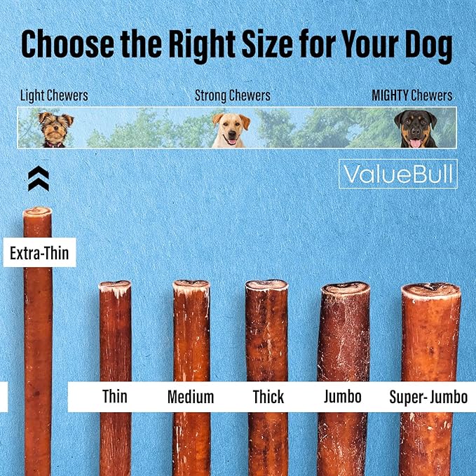 ValueBull Bully Sticks for Small Dogs, Extra Thin 6 Inch, 400 Count Wholesale Pack - All Natural, Grass Fed, Single Ingredient, Long Lasting Dog Treats
