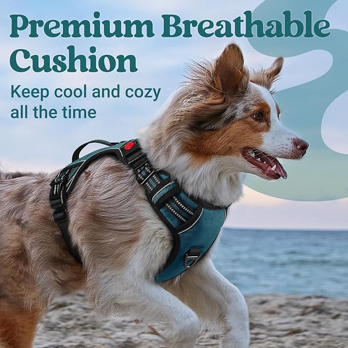 rabbitgoo Dog Harness for Large Dogs, No Pull Pet Harness with Soft Padded Handle, Adjustable Reflective Vest with 3 Buckles, Easy Walking Harness with 2 Leash Clips, Green, M