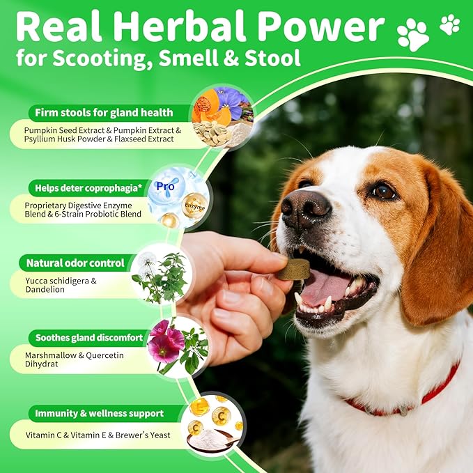 Dog Probiotics & Digestive Enzymes – Pumpkin Fiber Chews for Gut Health, Diarrhea & Upset Stomach Relief, Gas & Stool Support, Chicken Flavor Soft Chews – 90 Count