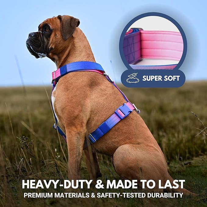 Spark Paws No Pull Dog Harness for Large Dogs, Heavy Duty Dog Harness for Big Strong Breeds, Adjustable, Y Shaped Padded Halter Design with Front Clip - Snow Cone - L