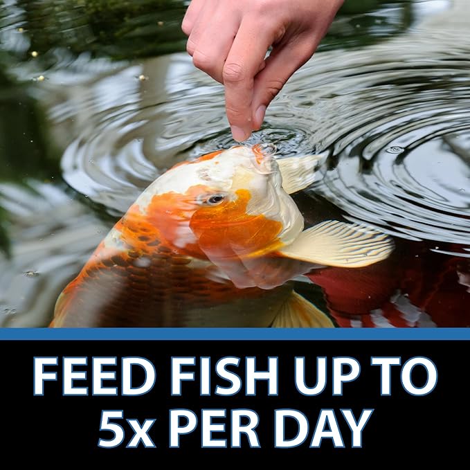 CrystalClear Staple Pond Fish Food for Healthy Koi & Goldfish, Protein Packed Floating Pellets for Summer Nutrition, Easy Digestion, 17.6 Pound Bucket