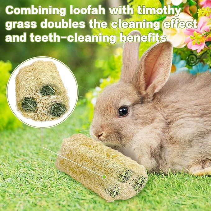 BNOSDM Bunny Chew Toys Natural Loofah 6PCS Bunny Teeth Grinding Toy Rabbit Fiber-Rich Treats Pet Entertainment Accessories for Rabbits Chinchillas Guinea Pig（M）