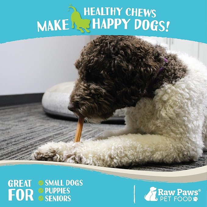 Raw Paws Thin Bully Sticks for Small Dogs, 6-Inch (15-Count) - Low Odor Bully Chews for Puppies - Free-Range Pizzle Sticks for Dogs - Single Ingredient Dog Chews - Rawhide Alternative - Long Lasting