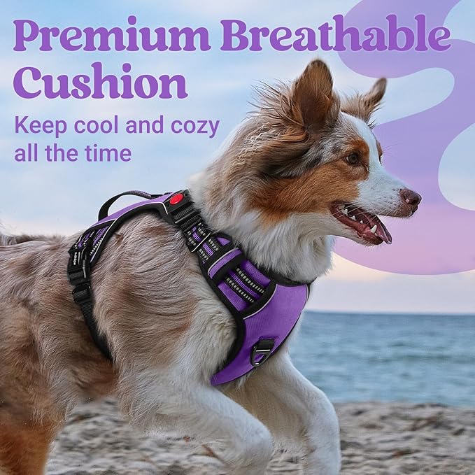 rabbitgoo Dog Harness Small Sized Dog, No Pull Pet Harness with Soft Padded Handle, Adjustable Reflective Vest with 3 Buckles, Easy Walking Harness with 2 Leash Clips, Purple, S