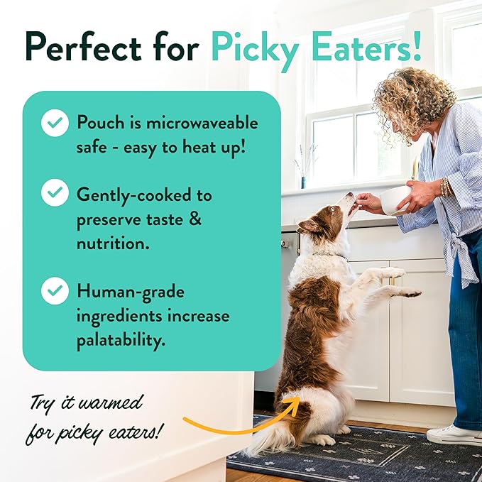 Portland Pet Food Company Salmon & Beef Fresh Dog Food Pouches - Human-Grade, Gluten-Free Wet Pet Meal Topper & Mix-Ins - Small & Large Breed Puppy & Senior Dogs - Made in The USA - 8 Pack