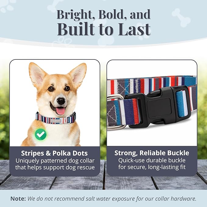 Lucky Love Dog - Adjustable Dog Collar with Easy Click Buckle for Small to Large Dogs, Durable, & Comfortable for Male & Female Dogs, Pet Collar for Puppies & Adult Ones - Linus, Small