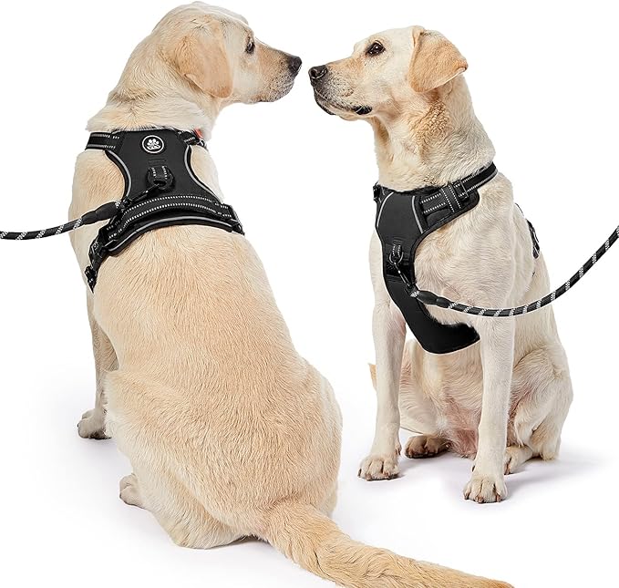 NESTROAD No Pull Dog Harness,Adjustable Oxford Dog Vest Harness with Leash,Reflective No-Choke Pet Harness with Easy Control Soft Handle for Large Dogs(X-Large,Black)