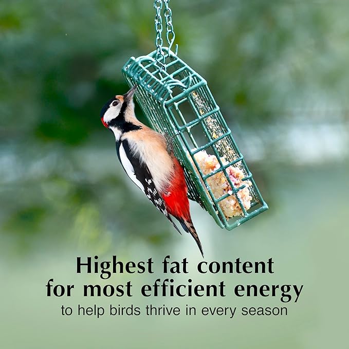 C&S Peanut Suet Treat, Suet Cakes for Wild Birds, 11 Ounces, Pack of 8