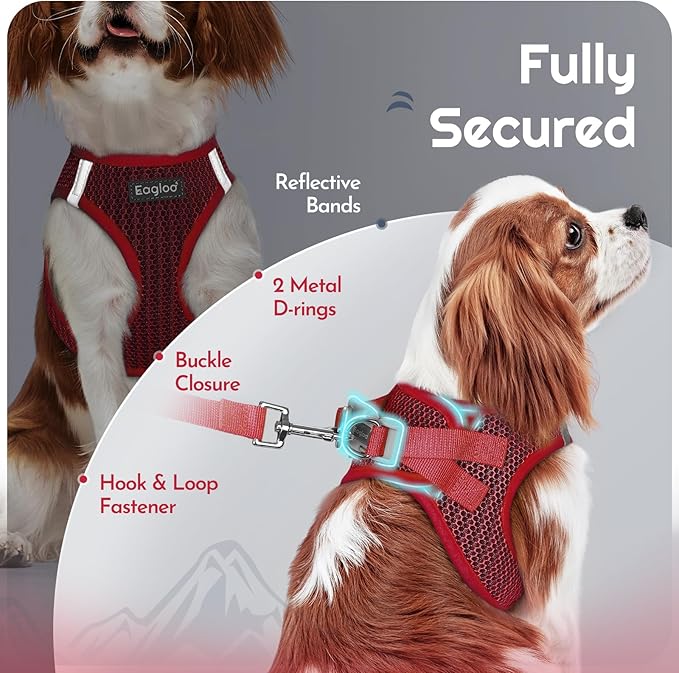 Eagloo Small Dog Harness and Leash Set, Step in Puppy Vest with Breathable Soft Mesh, Walking Reflective Pet Harness for Medium Small Dogs, Red, L