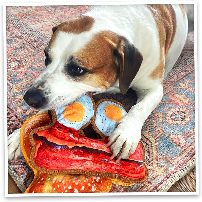 Doggijuana Tuffer Chewer Plush Dog Toy | Funny Dog Toy Plush with Juananip Catnip for Dogs | Calming Aid for Dogs | Interactive Squeaky Chew Toy for Play (Eggs & Bacon)