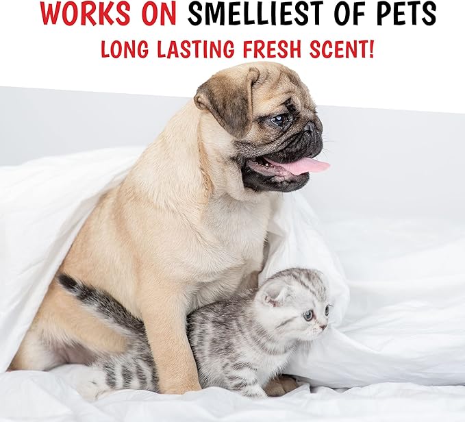 Warren London Wet Kiss Dog Cologne Spray – Pomegranate & Fig | Pocket-Size 2 oz Odor Eliminator & Coat Freshener for Dogs & Cats