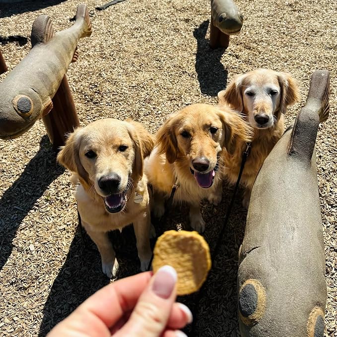 Farm To Pet - Dog Training Treats - 4 oz Fish Chips, Single Ingredient, Lean, All Natural, Healthy Treats for Small, Medium, Large Dog Breeds, & Puppies, Made in USA