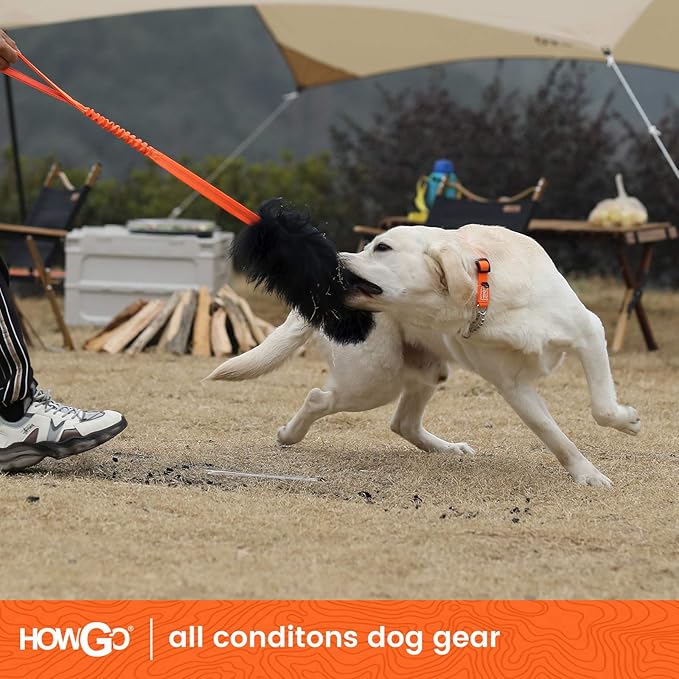 HOWGO Dog Rope Toy,Dog Bungee Chaser Toy 100% Sheepskin,Sheep Smell Tug Toy for All Breeds (Orange, Short Without Ball)