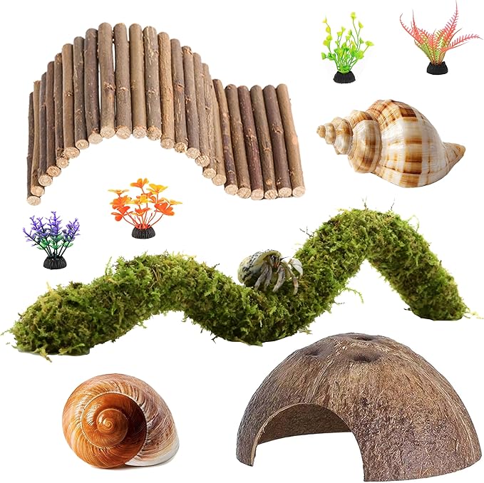 Hermit Crab Accessories, Natural Adjustable Hermit Crab Climbing Toys Bendable Bridge, Coconut Shell Hideout Hut, Plants for Reptiles & Amphibians Supplies(B-Group-9PCS)