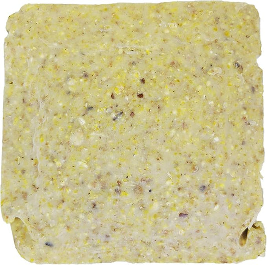 Suet Cake Variety Packs | 11 oz. Wild Bird Suet Cakes | (Pecan, 10 Pack)