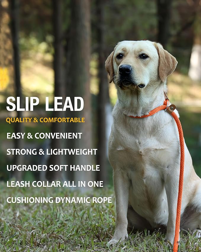 lynxking 6 FT Dog Leash Slip Lead 2 Pack Strong Heavy Duty Braided Dog Training Leash No Pull Training Lead Leashes for Medium Large and Small Dogs
