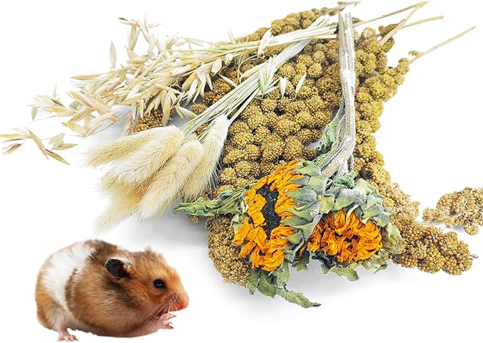 Fhiny Natural Hamster Bedding Mate, Edible Hamster Sprays Flowers & Herbs Gerbil Habitat Enclosure Decor Grain Treats Cage Accessories for Dwarf Syrian Hamster Lemming Degus Gerbil Mice