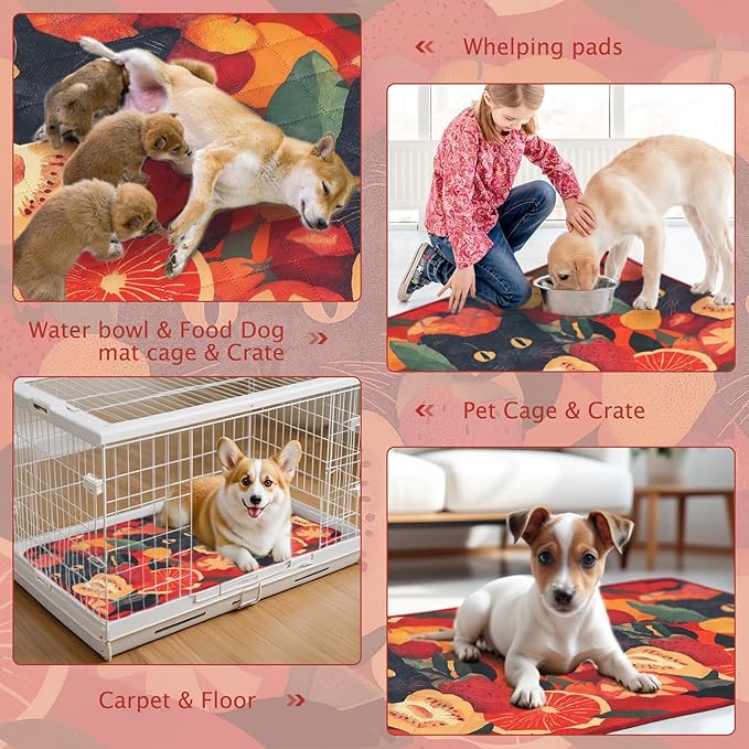 BVAGSS Washable Pee Pads for Dogs, 2 Pack Reusable Leakproof Puppy Wee Wee, Non-Slip Waterproof Pet Training, Super Absorbent Whelping XH081 (Cat, 36X48 Inch)