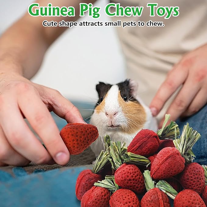 Fhiny Rabbit Chew Toys, 24 PCS Natural Hamster Molar Snacks Handmade Small Animal Chew Toys for Teeth Timothy Hay Treats Habitat Decor for Bunny Guinea Pig Chinchilla Hamster Gerbil Dental Care