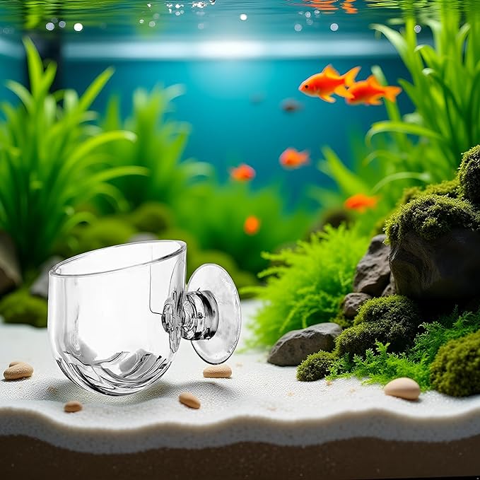 1Pc Oval Aquarium Plant Holder Cup - Crystal Glass Aquatic Plant Pot, Aquarium Aquatic Planter | Red Shrimp Live Plants Fish Tank Glass Holder