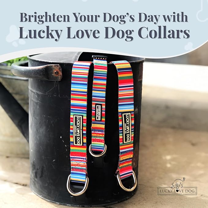 Lucky Love Dog - Adjustable Dog Collar with Easy Click Buckle for Small to Large Ones, Durable, & Comfortable for Male & Female Dogs, Pet Collar for Puppies & Adult Dogs - Hippie, Large