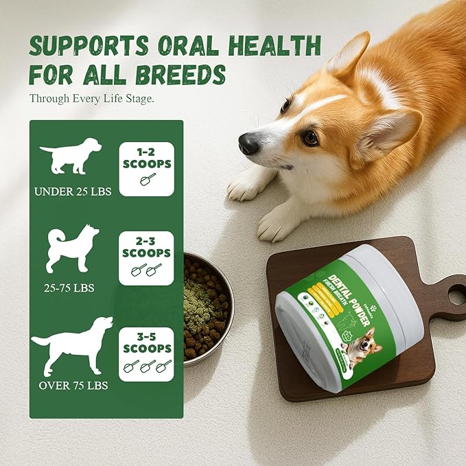 Dog Teeth Cleaning Powder, Dog Dental Powder for Teeth Cleaning and Dog Breath Fresh for Dogs with Probiotic & Tartar Remover, Plaque Off Dog Tooth Cleaning (80g)
