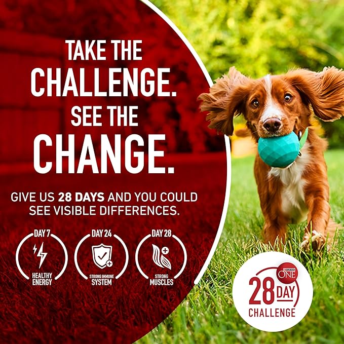Purina ONE True Instinct High Protein Dry Dog Food Formula with Real Chicken and Duck Natural with Added Vitamins and Minerals Dog Food - 15 lb. Bag