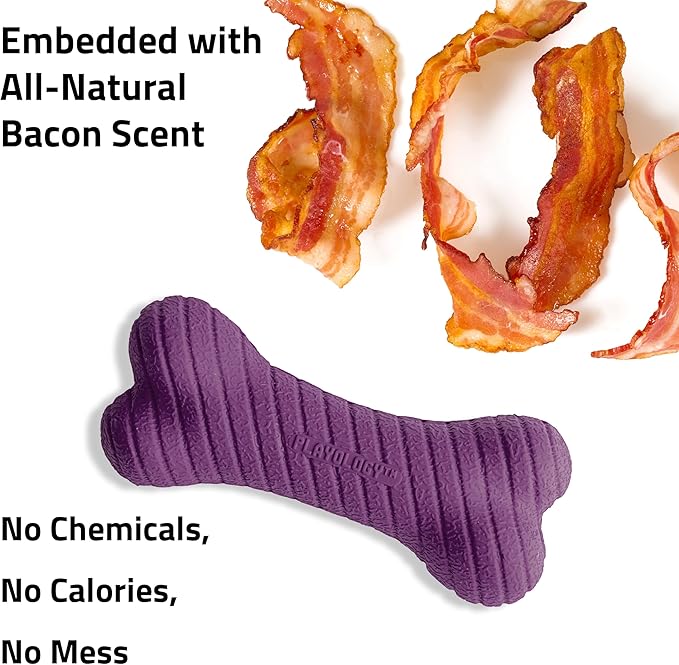 Playology Dog Toys | Dual Layer Bone Durable Chew Toy Bone for Dogs (Value 2-Pack) | Medium Bacon Scented Toy - Easy to Clean and Made from Non Toxic Materials