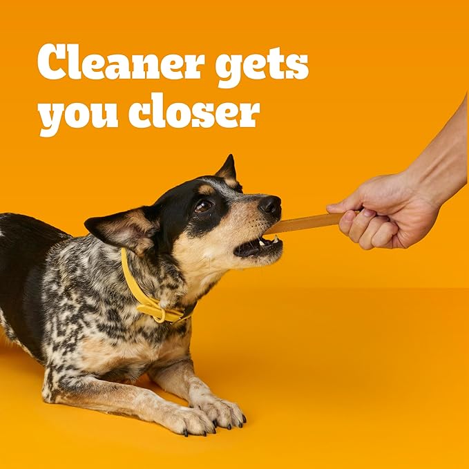 Pedigree Dentastix Small & Medium Breed Dog Treats, Original with Real Chicken, (4) 25ct Bags (100 Treats Total)