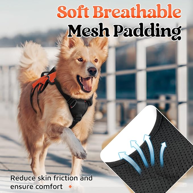 rabbitgoo Escape Proof Dog Harness, Soft Padded Full Body Pet Harness, Reflective Adjustable No Pull Vest with Lift Handle and Leash Clip for Large Dogs Walking Hiking Training, L, Orange