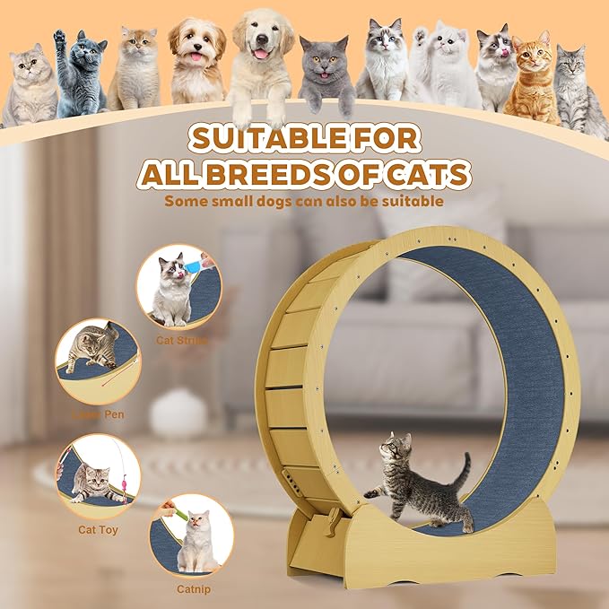 45'' Cat Exercise Wheel for Indoor Cats, Cat Running Treadmill Wheel with Detachable Carpet & Toy for Running/Walking/Training, Suitable for Most Cats