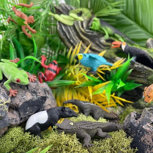 Safari Ltd. Rainforest TOOB - 11 Figurines: Macaw, Frogs, Toucan, Iguana, Monkey, and More - Educational Toy Figures For Boys, Girls, and Kids Ages 3+